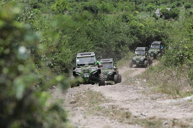 Kizimkaziden: Nungwi Buggy Turu